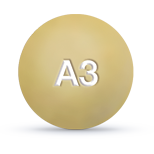 A3